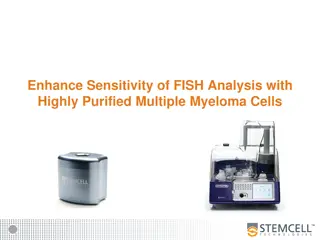Enhancing FISH Analysis Sensitivity with Highly Purified Multiple Myeloma Cells