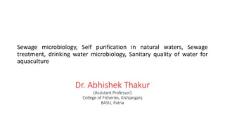 Sewage Microbiology, Water Treatment, and Quality Control in Natural Waters