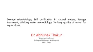Understanding Sewage Microbiology, Water Treatment, and Quality Control in Natural Waters