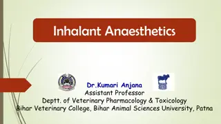 Understanding Inhalation Anaesthetics in Veterinary Pharmacology & Toxicology