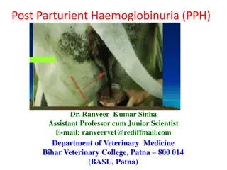 Post-Parturient Haemoglobinuria (PPH) in Dairy Cows and Buffaloes: Causes and Clinical Manifestations