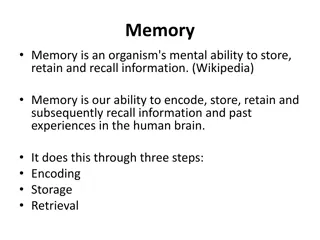 The Basics of Memory Functioning