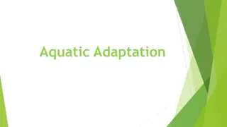 Understanding Aquatic Adaptation in Animals