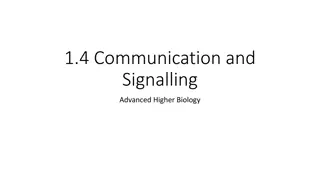 Cell Communication and Signalling in Biology