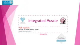 The Histological Structure of Muscle Cells