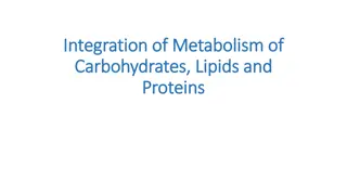 The Integration of Carbohydrate, Lipid, and Protein Metabolism