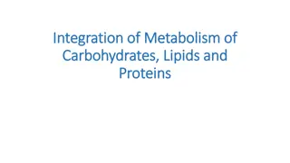 Understanding the Integration of Carbohydrate, Lipid, and Protein Metabolism
