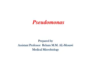 Overview of Pseudomonas aeruginosa: Morphology, Identification, and Lab Diagnosis