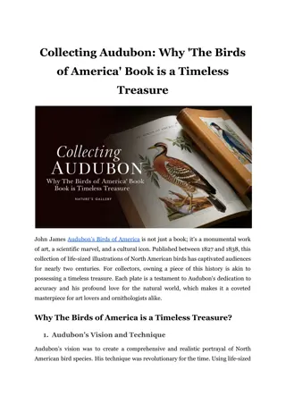 Collecting Audubon_ Why 'The Birds of America' Book is a Timeless Treasure