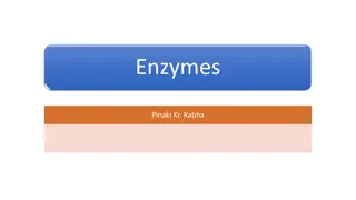 Enzymes: Nature, Classification, and Mechanism of Action