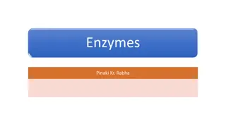 Understanding Enzymes: Nature, Classification, and Mechanism of Action
