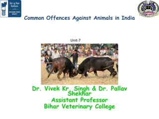 Common Offences Against Animals in India: Understanding Mischief, Cruelty, and Bestiality