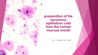 Preparation of Squamous Epithelium Cells from Human Mucosa Mouth