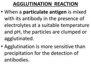 Agglutination Reactions in Immunology