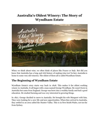 Australia's Oldest Winery: The Story of Wyndham Estate