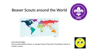 International Beaver Scouts Around the World - A Comparison of Different Scout Groups