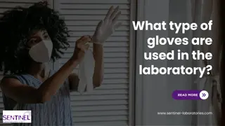 What type of gloves are used in the laboratory?