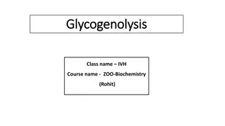 Glycogenolysis in Vertebrates: A Detailed Overview