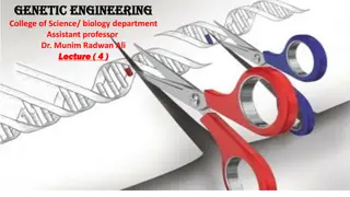 Insights into Enzymes in Genetic Engineering