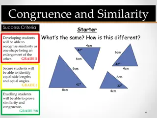 Congruence and Similarity in Geometry