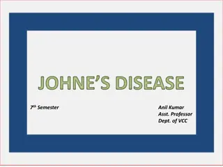 Johne's Disease in Ruminants: Causes, Transmission, and Clinical Findings