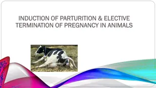 Induction of Parturition in Animals