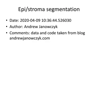 Analysis of Epi/Stroma Segmentation with High Pixel Agreement Rates