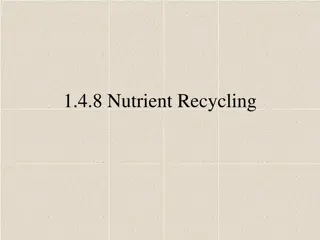Nutrient Recycling in Ecosystems