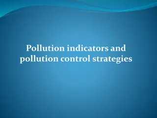 Pollution: Indicators and Control Strategies