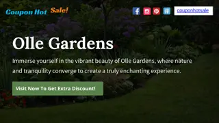 Olle Gardens Coupon Code | Olle Gardens Promo Code | Olle Gardens Discount Code