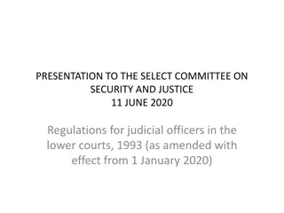 Regulations for Judicial Officers in Lower Courts: Presentation to Select Committee