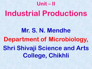 Industrial Production of Wines: Process and Classes