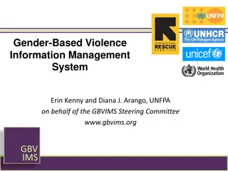 Gender-Based Violence Information Management System Overview