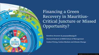 Financing a Green Recovery in Mauritius: Challenges and Opportunities