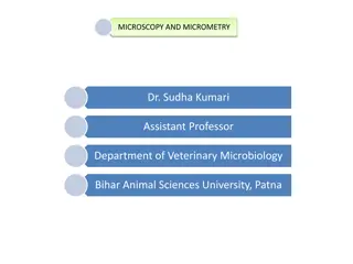 Understanding Microscopy and Micrometry in Veterinary Microbiology
