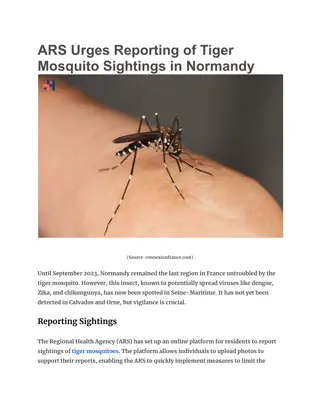 ARS Urges Reporting of Tiger Mosquito Sightings in Normandy | healthcare