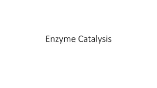 Enzyme Catalysis and Active Site Role