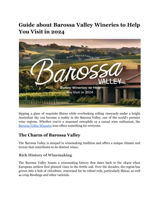 Guide about Barossa Valley Wineries to Help You Visit in 2024