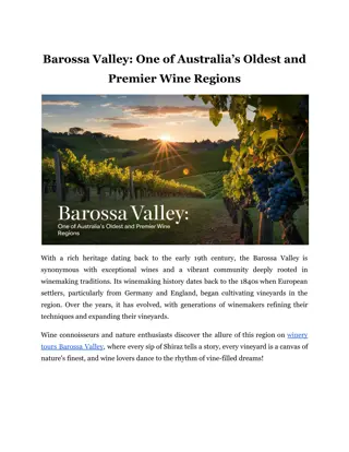 Barossa Valley: One of Australia’s Oldest and Premier Wine Regions