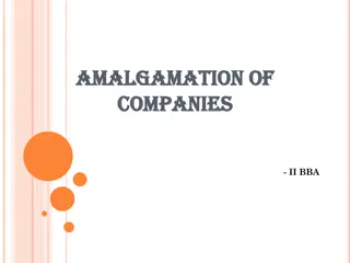 Amalgamation of Companies: Types, Advantages, and Disadvantages