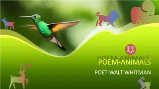 Walt Whitman's Poem: Animals and Their Serenity