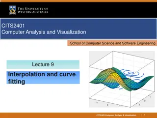 Interpolation Techniques in Computer Analysis & Visualization