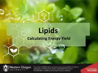 Energy Yield from Lipid Oxidation Process