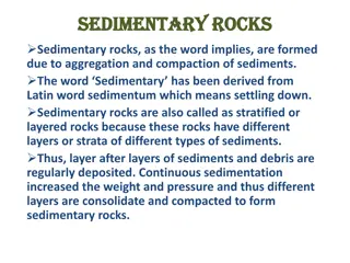 Formation and Characteristics of Sedimentary and Metamorphic Rocks