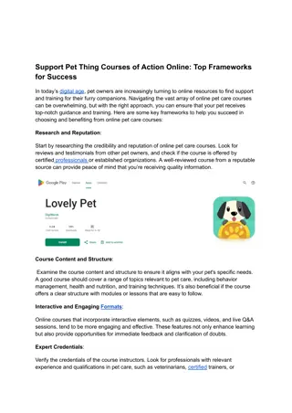 Support Pet Thing Courses of Action Online_ Top Frameworks for Success