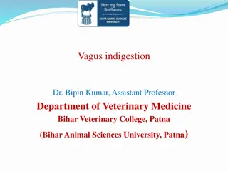 Understanding Vagal Indigestion in Ruminants: Causes and Types