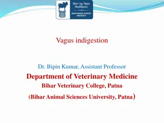 Vagal Indigestion in Ruminants: Causes and Types