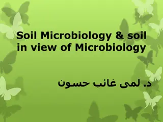 Soil Microbiology and Its Impact on Plant Growth