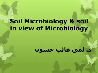 Understanding Soil Microbiology and Its Impact on Plant Growth