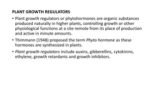 Plant Growth Regulators: Phytohormones and Their Functions